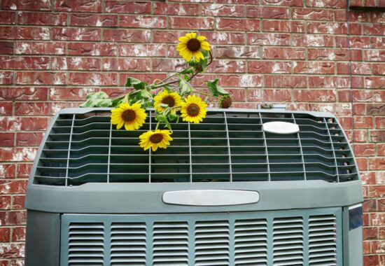 Beat the Heat with Our Help This Summer!